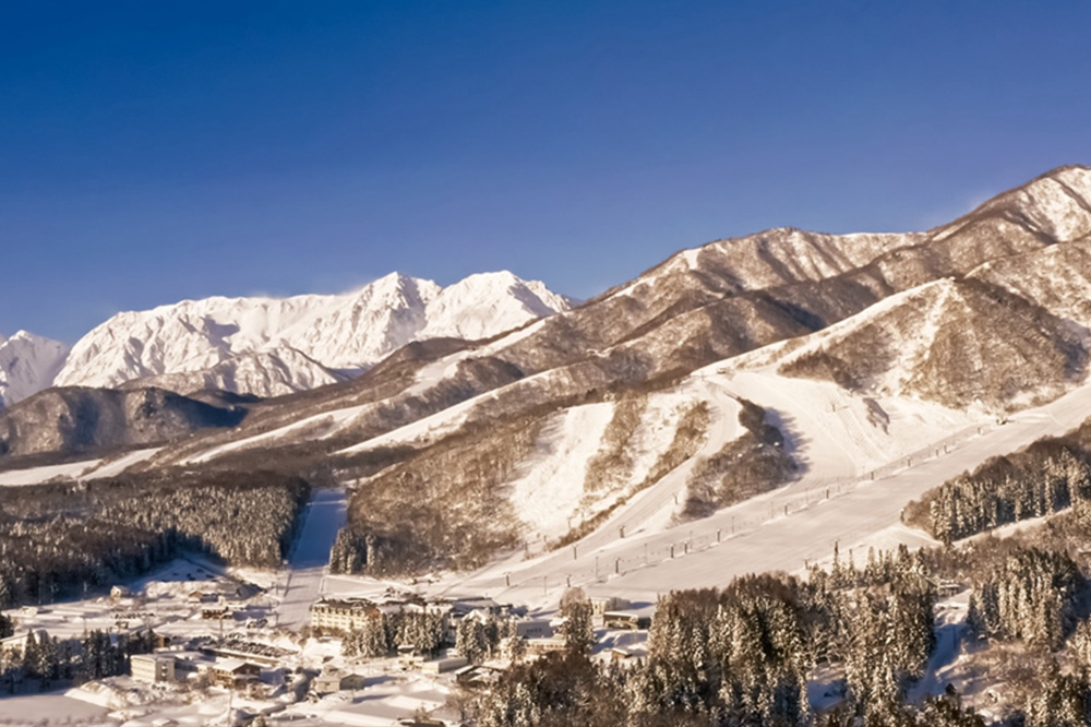 リゾート運営企業の再生に向けたコンサルテーション